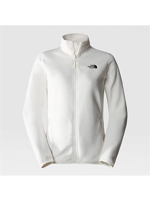 100 glacier fz THE NORTH FACE | NF0A855ON3N1
